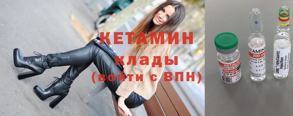 стаф Касимов