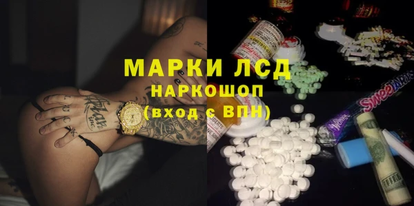 гидра Карпинск