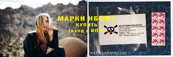стаф Касимов