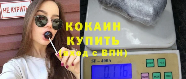 стаф Касимов