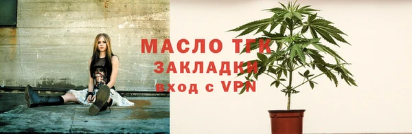 гидра Карпинск