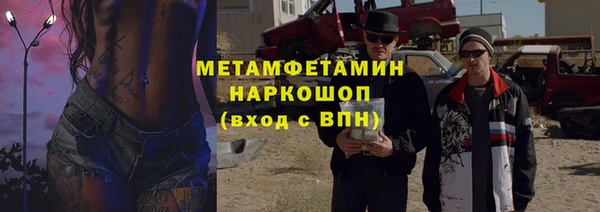 гидра Карпинск