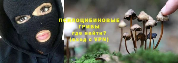 гидра Карпинск