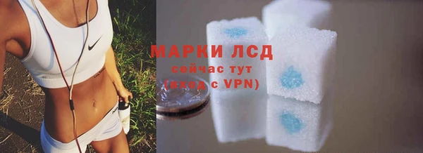 стаф Касимов