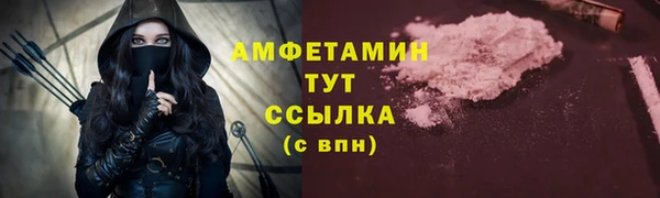 стаф Касимов