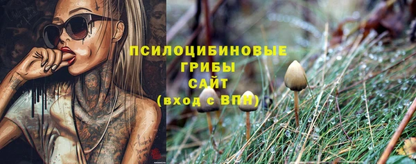 гидра Карпинск