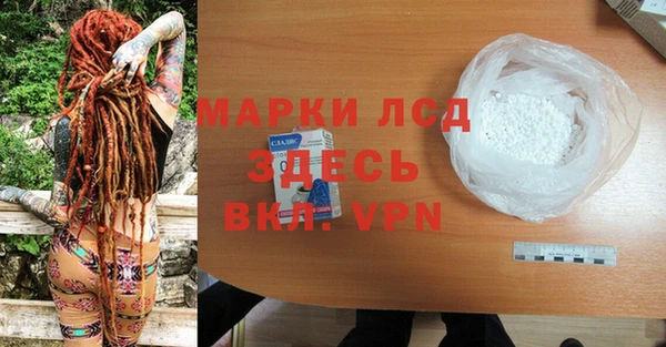 гидра Карпинск