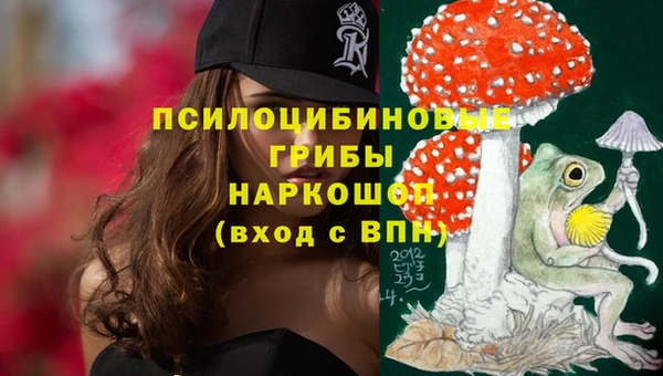 гидра Карпинск