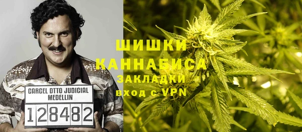 стаф Касимов