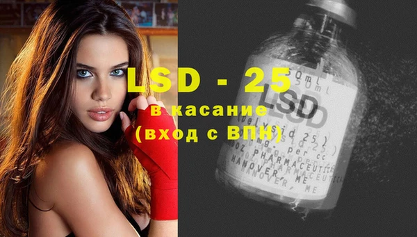 стаф Касимов