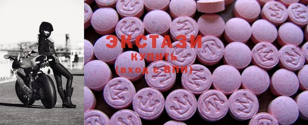 гидра Карпинск