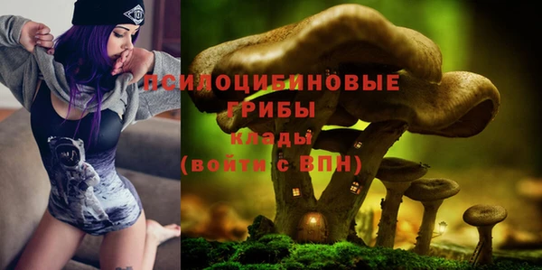 стаф Касимов