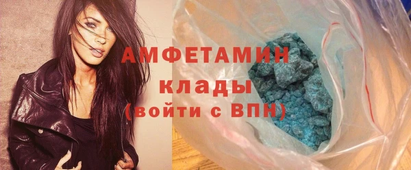 гидра Карпинск
