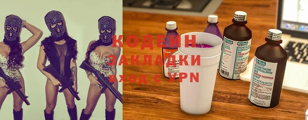 гидра Карпинск
