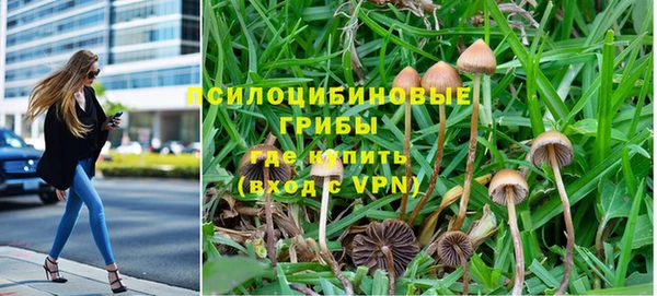 стаф Касимов