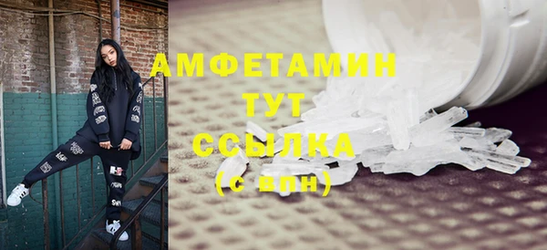 гидра Карпинск