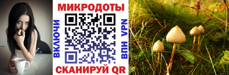 Галлюциногенные грибы Magic Shrooms  Купить закладки  Чусовой 